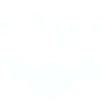 Icon for P2P Remittance Services
